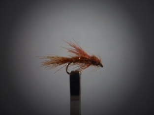 Size 12 Birdsnest Brown